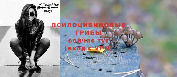 СК Приозерск