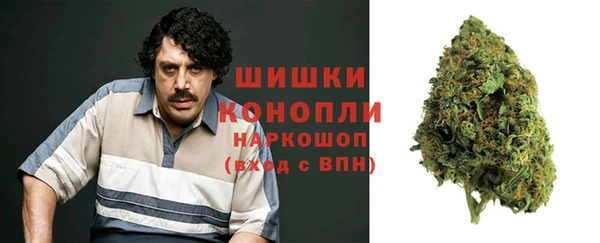 сатива Балахна